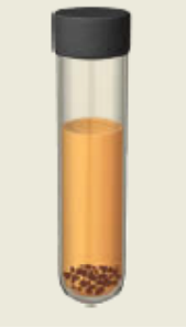 <p>bacteria that are unable to use molecular oxygen for energy yielding reactions</p><ul><li><p>ex. Clostridium</p></li></ul><p></p>