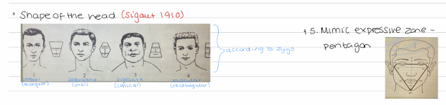 <ul><li><p>It is a visually descriptive method</p></li><li><p>It basically talks about how the form of the ehad will determine the shape of the teeth </p></li></ul><p></p>
