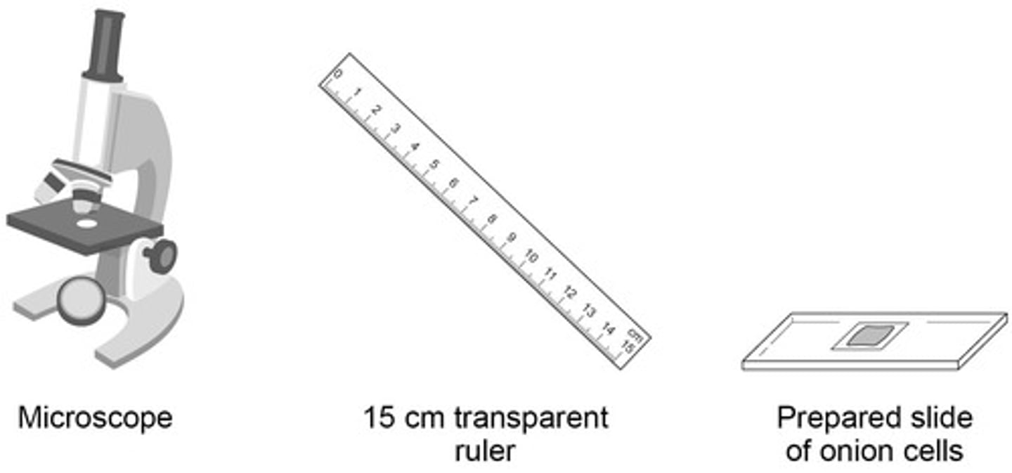 <p>To use visible light to view a thin sample.</p>