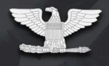 <p>Collar Device: Silver Eagle</p>