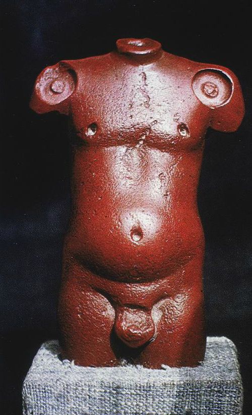 <p><span>Nude Male Torso</span></p>