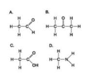 <p>46) Use the figures to answer the question.</p><p class="p1">Which molecule shown can increase the concentration of hydrogen ions in a solution and is</p><p class="p1">therefore an organic acid?</p><p class="p1">A) A</p><p class="p1">B) B</p><p class="p1">C) C</p><p class="p1">D) D</p>