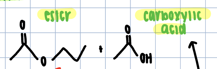 <p>baeyer-villiger oxidation</p>