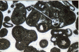 <p>Clusters of cemented ooids, peloids, and skeletal pieces bound together by encrusting organisms/micrite and then reworked. Form in low energy settings</p>
