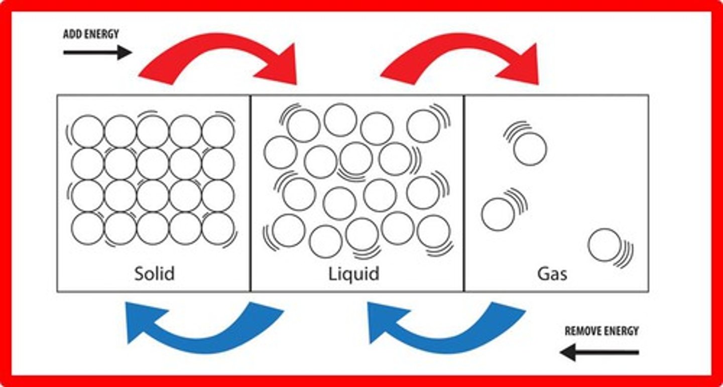 <p>Average kinetic energy of particles within a matieral</p>