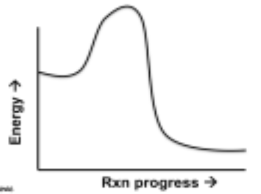 <p>energy starts high and increases for a process then decreases as it is released</p>