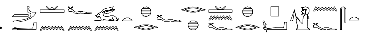term image