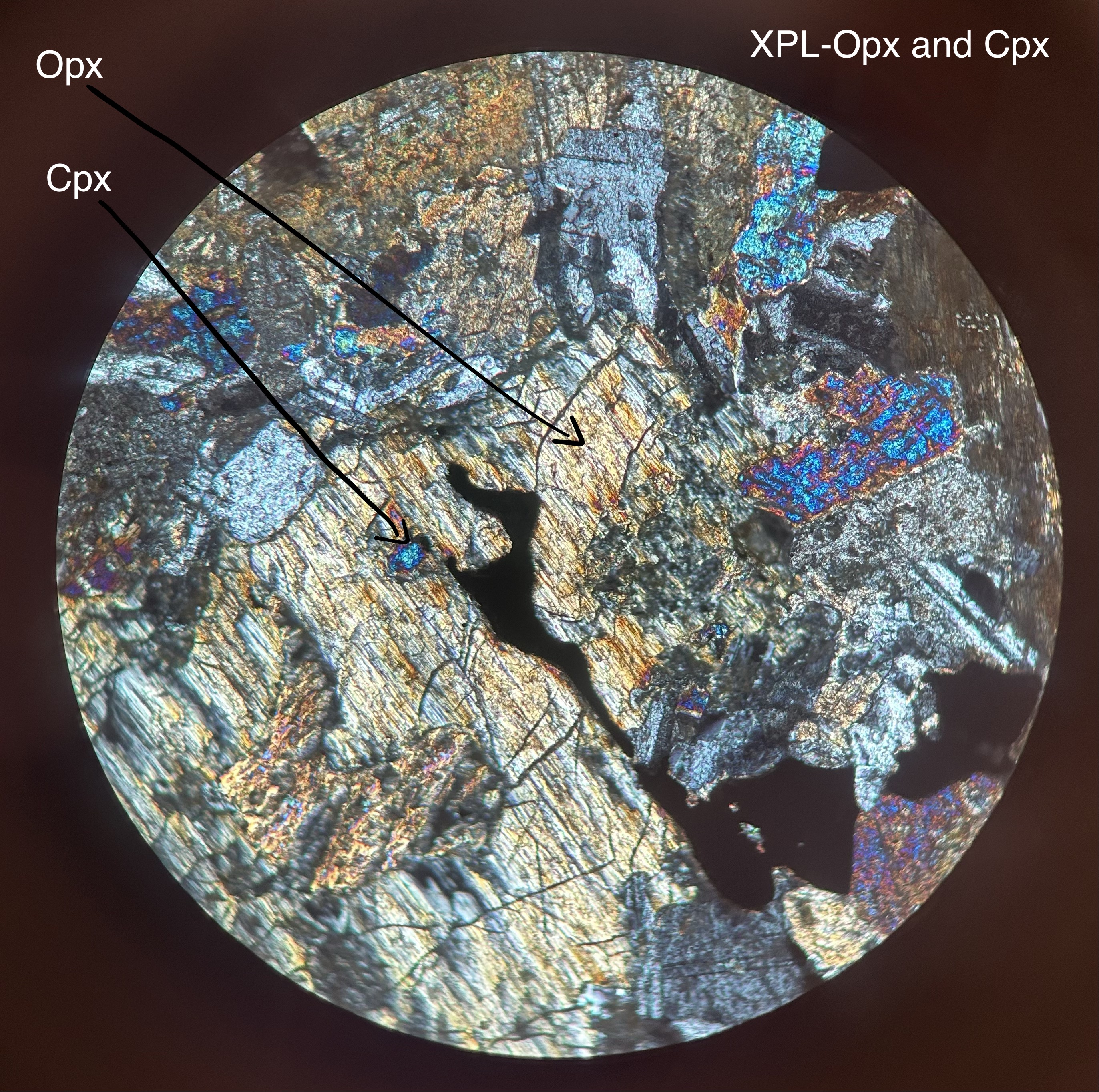 <p>inosilicates, opx= MgSiO3. cpx=CaMgSi2O6</p><p>single chain</p><p>prismatic crystals, 2 cleavage planes at 90, higher relief</p><p>OPX in PPL- yellow/brown</p><p>OPX in XPL- low birefringence- yellow/brown/extinct</p><p>CPX in PPL- colorless</p><p>CPX in XPL- high birefringence- blue/purple</p>