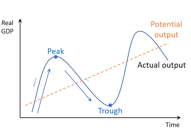 <p>Explain each part of the Cycle with respect to AD, Inflation, Unemployment and Confidence </p>