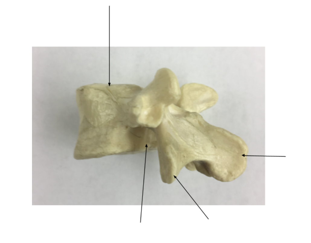 <ol><li><p></p></li><li><p></p></li><li><p></p></li><li><p></p></li></ol><p></p>