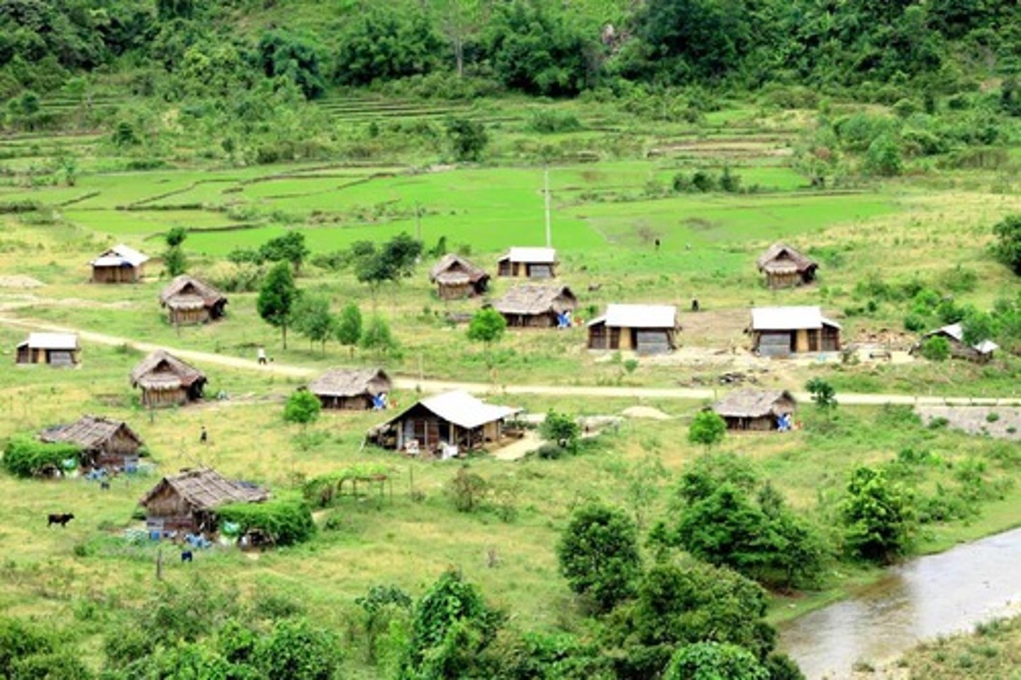 <p>(n): miền quê</p>