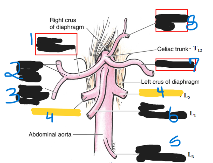 <p>what is number 4</p>