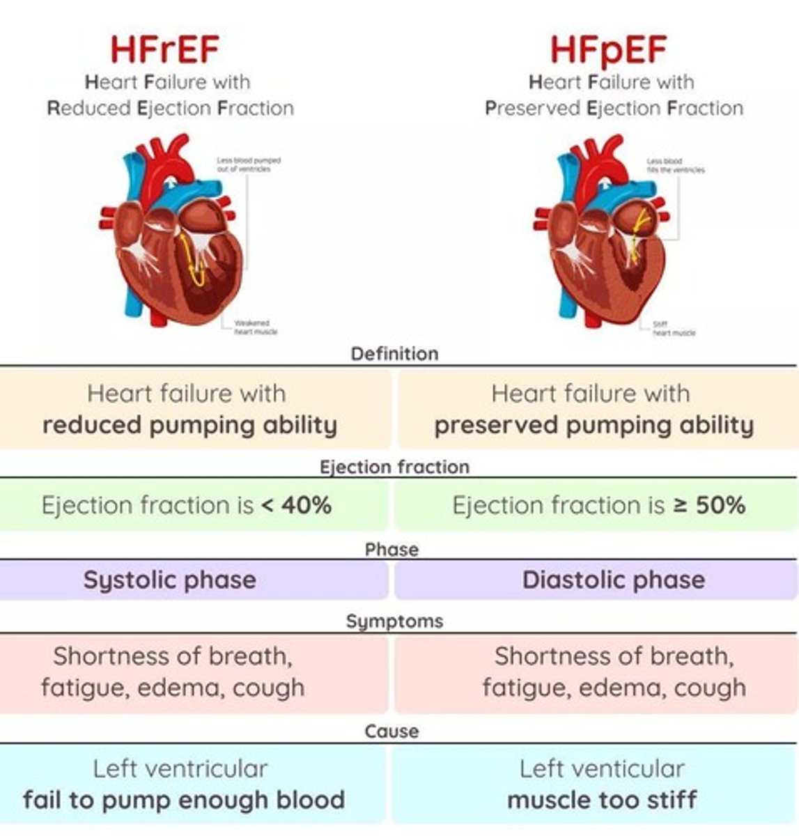 <p>HFrEF (Heart Failure with reduced Ejection Fraction) and HFpEF (Heart Failure with preserved Ejection Fraction).</p>