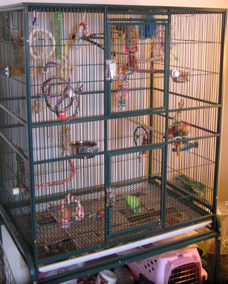 <p>(n): cái lồng</p>