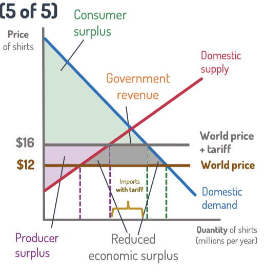 <ol><li><p><strong>Free trade:</strong> World price = $12.<br>Imports = 100 million shirts.</p></li><li><p><strong>Tariff = $4</strong> → new price = $16.</p></li><li><p><strong>Effects:</strong></p><ul><li><p>Imports fall (gap shrinks).</p></li><li><p>Domestic producers gain slightly.</p></li><li><p>Consumers lose a lot (higher prices).</p></li><li><p>Government earns revenue = tariff × imports.</p></li><li><p><strong>Deadweight loss:</strong> total surplus falls.</p></li></ul></li></ol><p></p><p>Tariffs = higher prices, less trade, lower efficiency.</p><p></p>