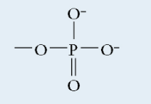 <p>Phosphate</p>