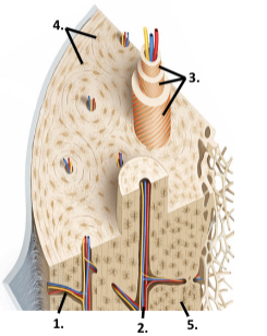 <p>3</p>
