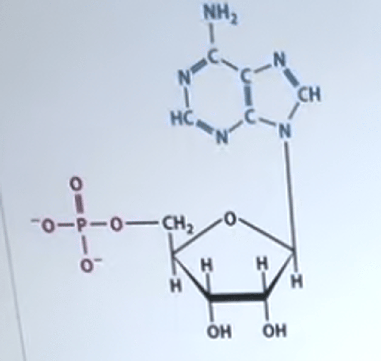 <p>It belongs to RNA</p><p>It is a nucleotide</p>