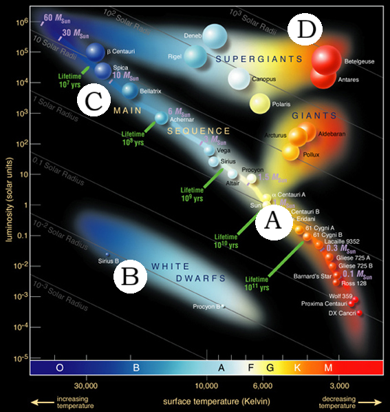 <p>Which star is the<strong> Hottest?</strong></p>