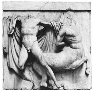<p>Lapith fighting a centaur</p>