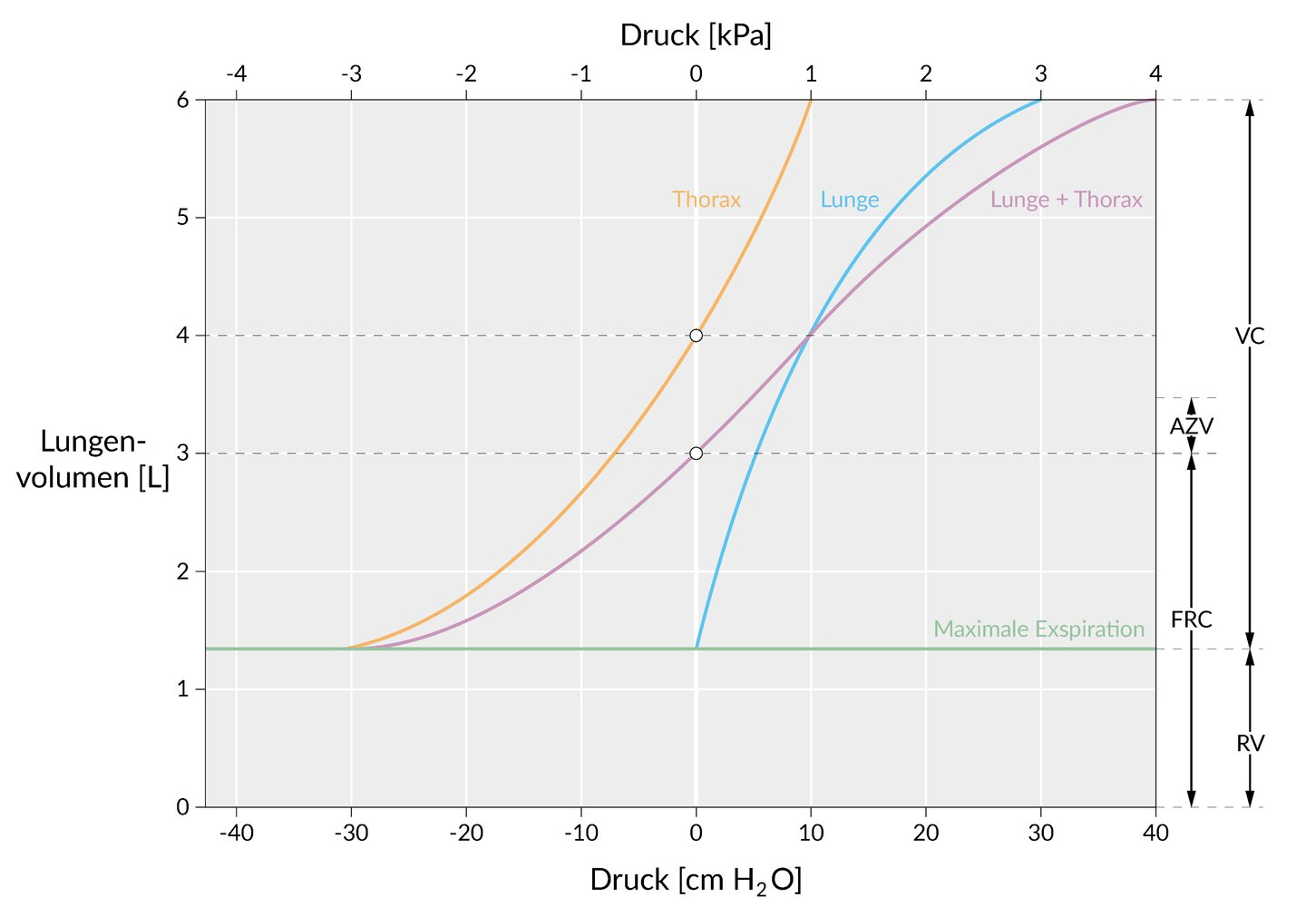 <p>C. Lung compliance</p>