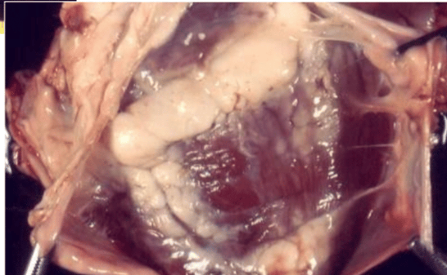 <p>what do we see here?</p>