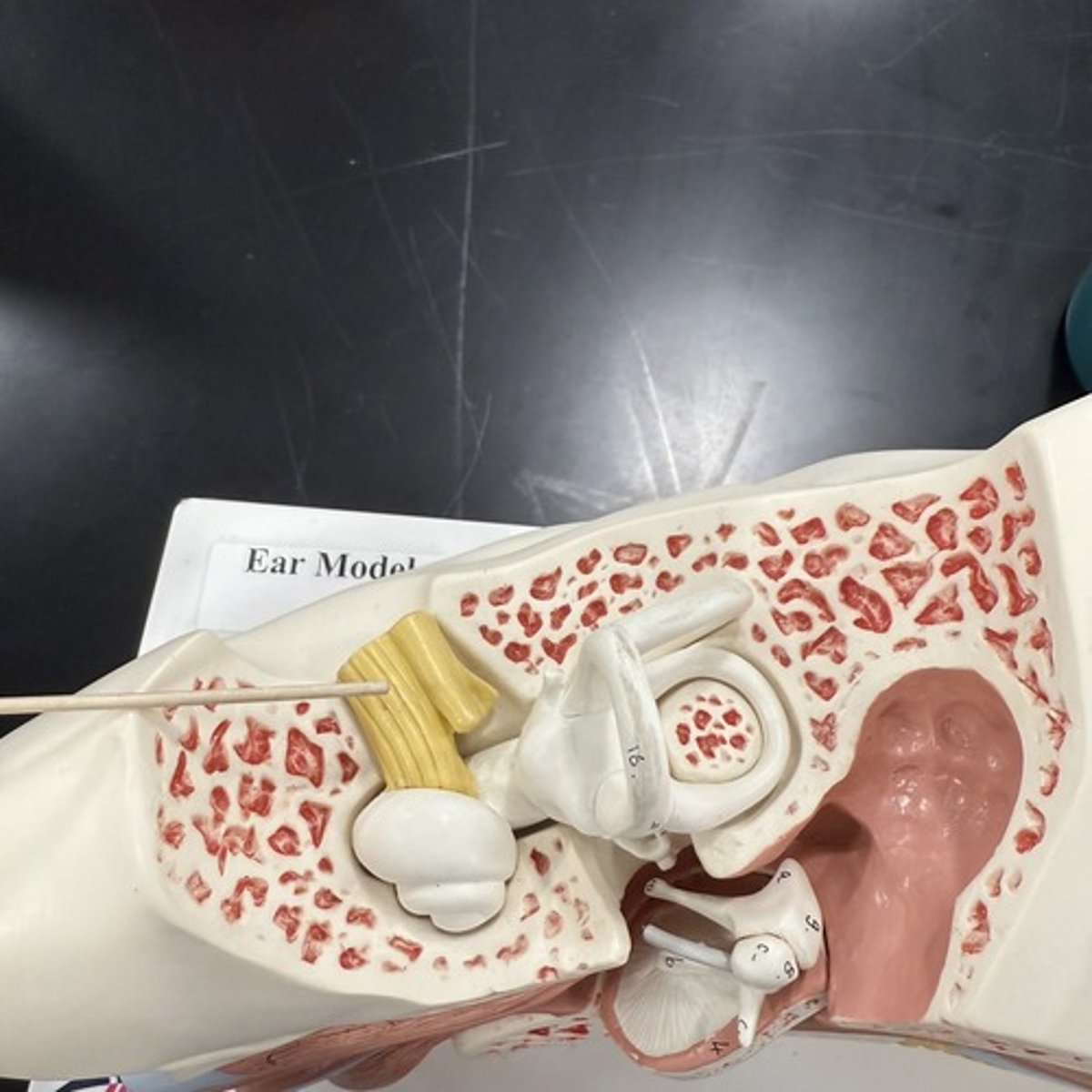 <p>What is this structure?</p>