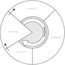 <p>describe the cell cycle </p>