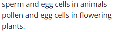 <p><span>joining (fusion) of male and female gametes</span></p>