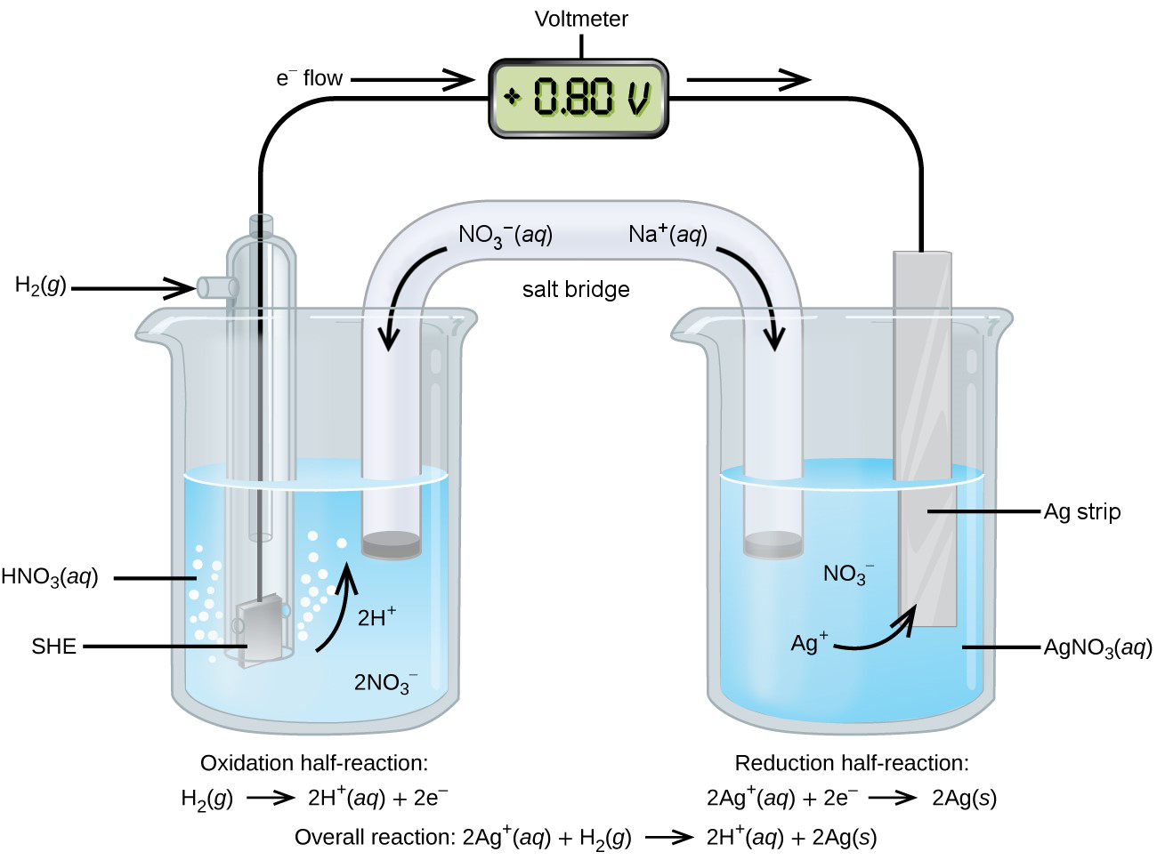 <p>Anode | Anode Solution || Cathode Solution | Cathode </p>