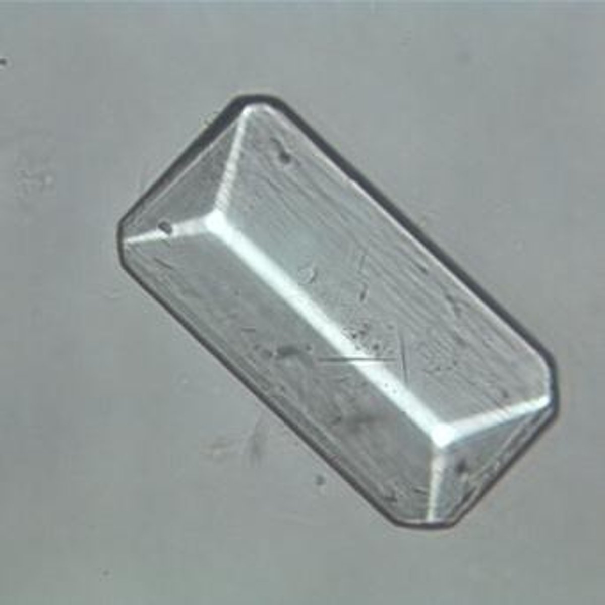 <p>Hexagonal plates, yellow to colorless, observed under Brightfield at 40x.</p>
