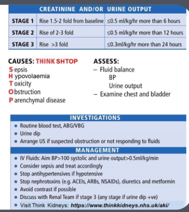 <ul><li><p class=""><strong>Stage 1:</strong> Creatinine rise 1.5-2 fold or urine output ≤0.5 mL/kg/hr for &gt;6 hours</p></li><li><p class=""><strong>Stage 2:</strong> Creatinine rise 2-3 fold or urine output ≤0.5 mL/kg/hr for &gt;12 hours</p></li><li><p class=""><strong>Stage 3:</strong> Creatinine rise &gt;3 fold or urine output ≤0.3 mL/kg/hr for &gt;24 hours</p></li></ul><p></p>