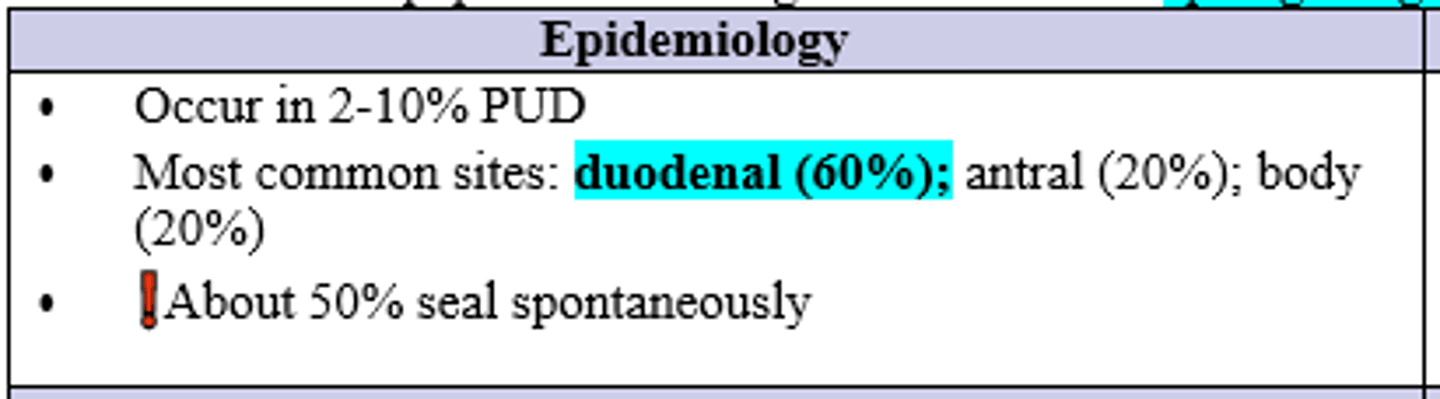 <p>Duodenum</p>