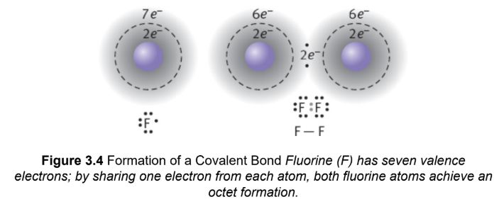 <p>an electron pair is shared between two atoms, typically nonmetals, that have relatively similar values of electronegativity</p>