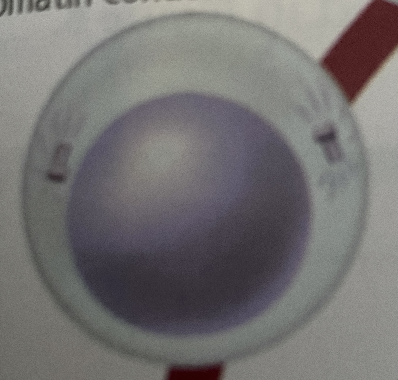 <p>What stage of Meiosis is this?</p>