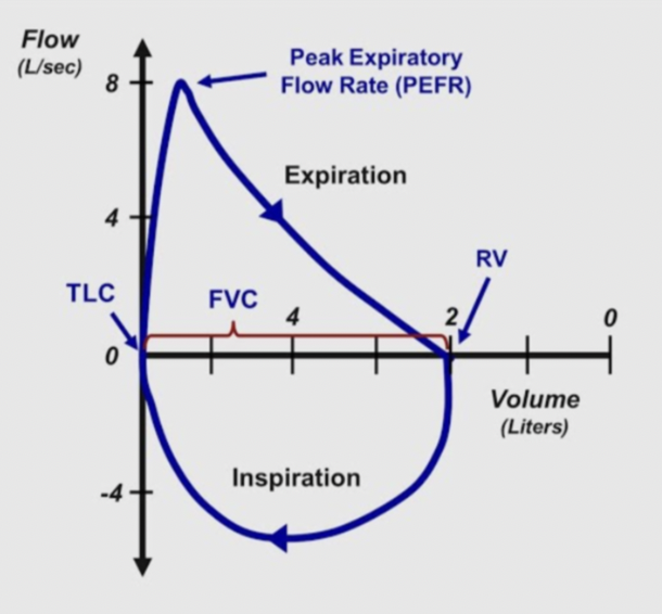 <p>Flow volume loop</p>