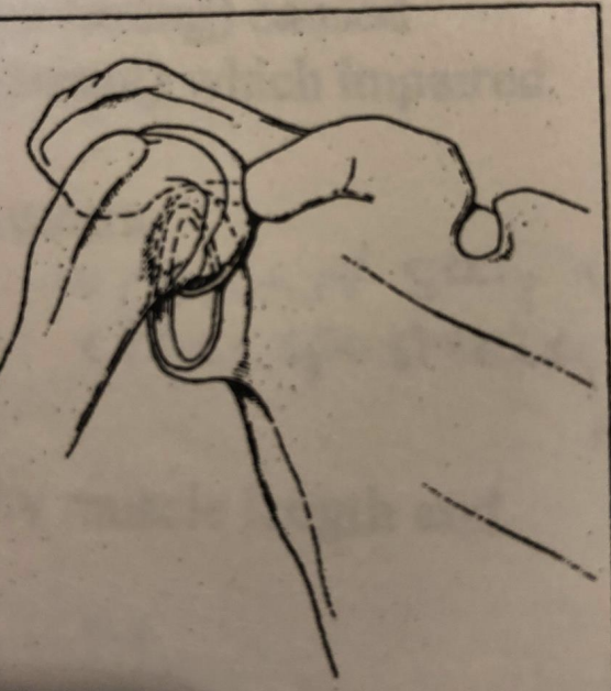 term image