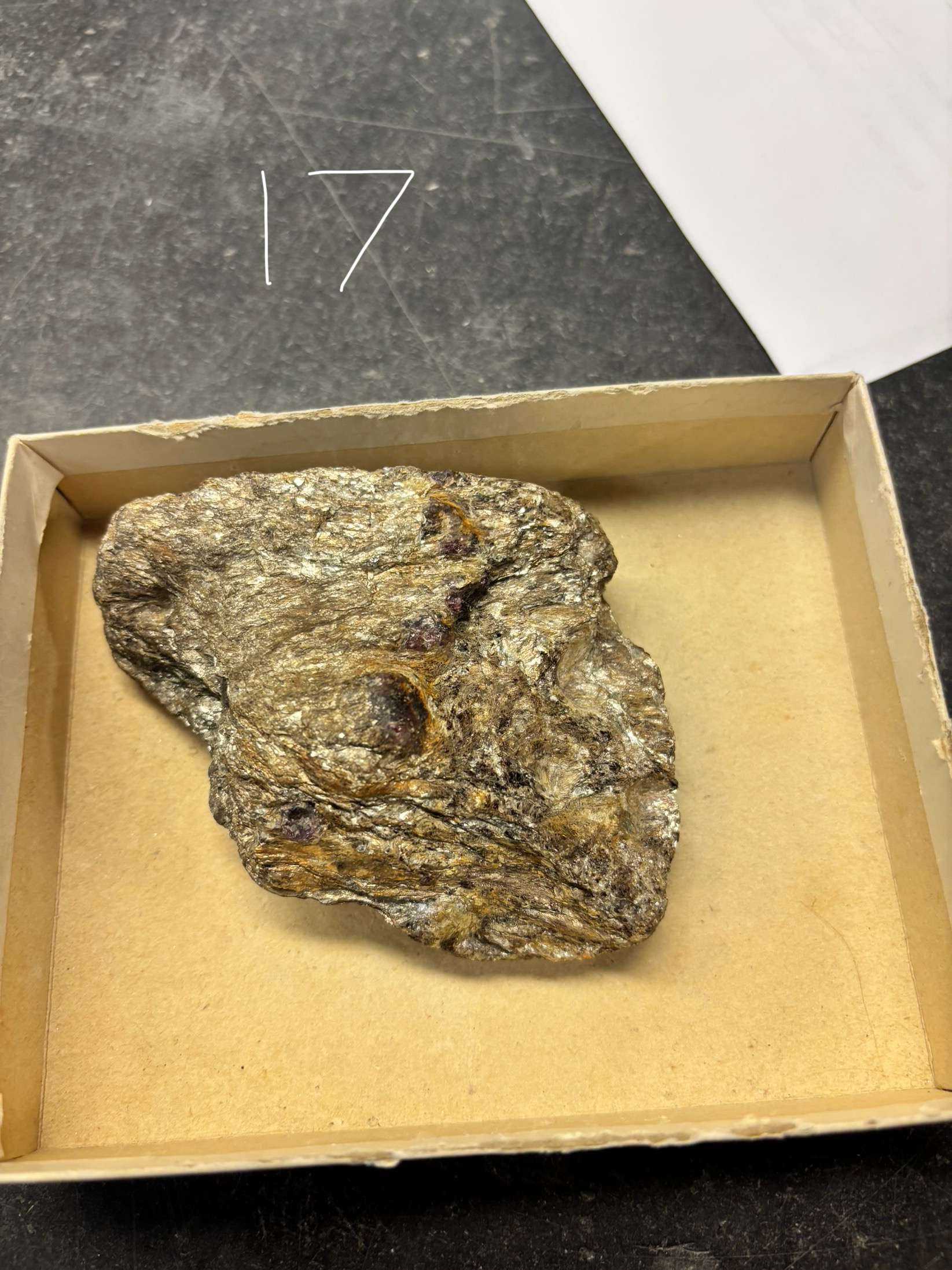 <p>Minerals Present ?</p><p>Overall texture ?</p><p>Rock Name ?</p>