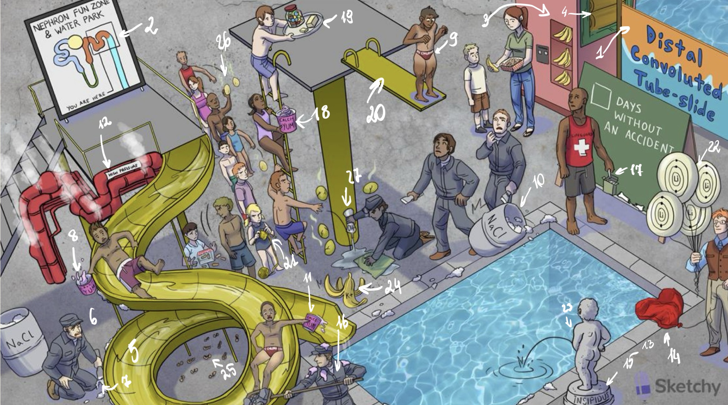 <ol start="20">
<li>HIGHdrocchlorothiazide and the HIGH dive</li>
</ol>