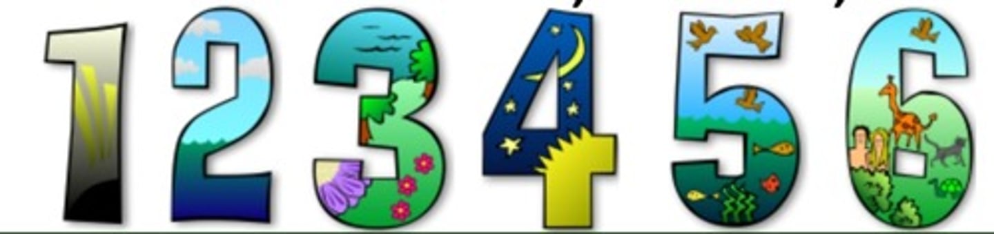 <p>Day 1 - earth, space, time, light</p><p>Day 2 - atmosphere</p><p>Day 3 - dry land, plants</p><p>Day 4 - sun, moon, stars</p><p>Day 5 - fish, sea creatures, birds</p><p>Day 6 - land animals, Adam, Eve</p>