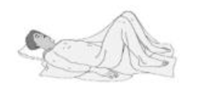 Dorsal Recumbent