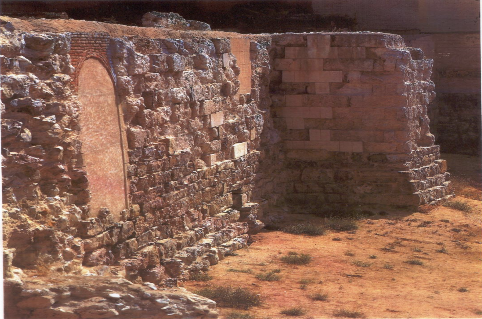 term image