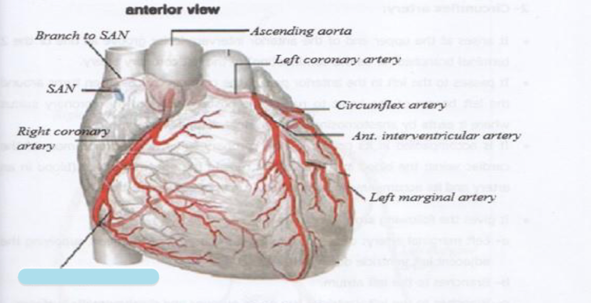<p>Name the covered parts in the following photo</p>