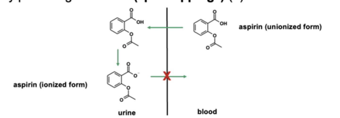 <p><strong>treatment</strong> of <strong>aspirin overdose</strong> with <strong>sodium bicarbonate</strong> (via <strong>alkalinization of urine</strong>) </p>