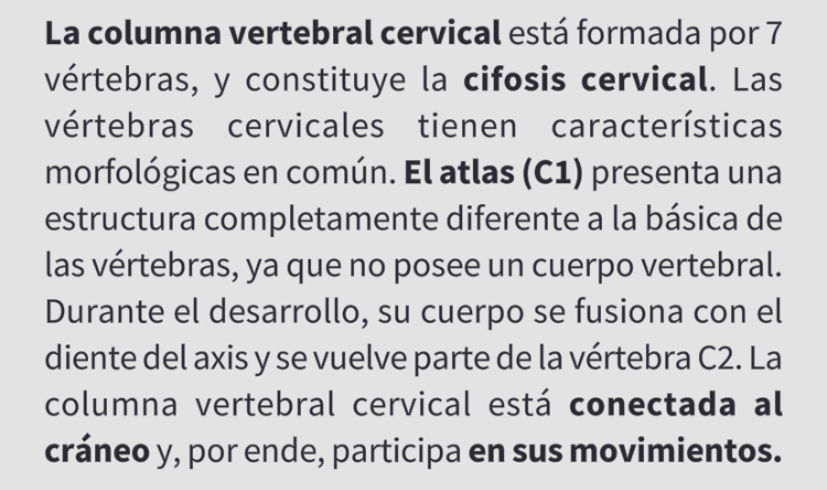 <p>Vértebra cervical (C4)</p>