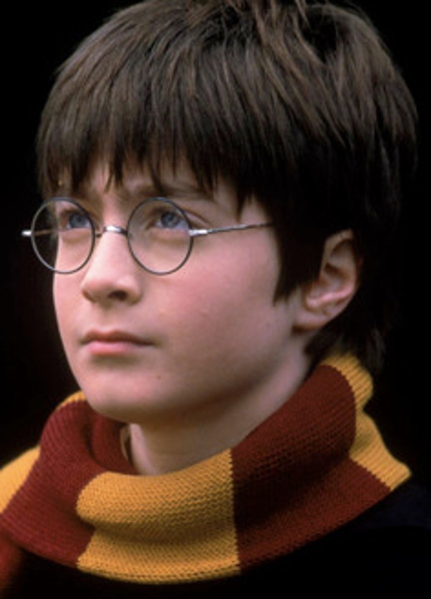 <p>die Hauptrolle</p>