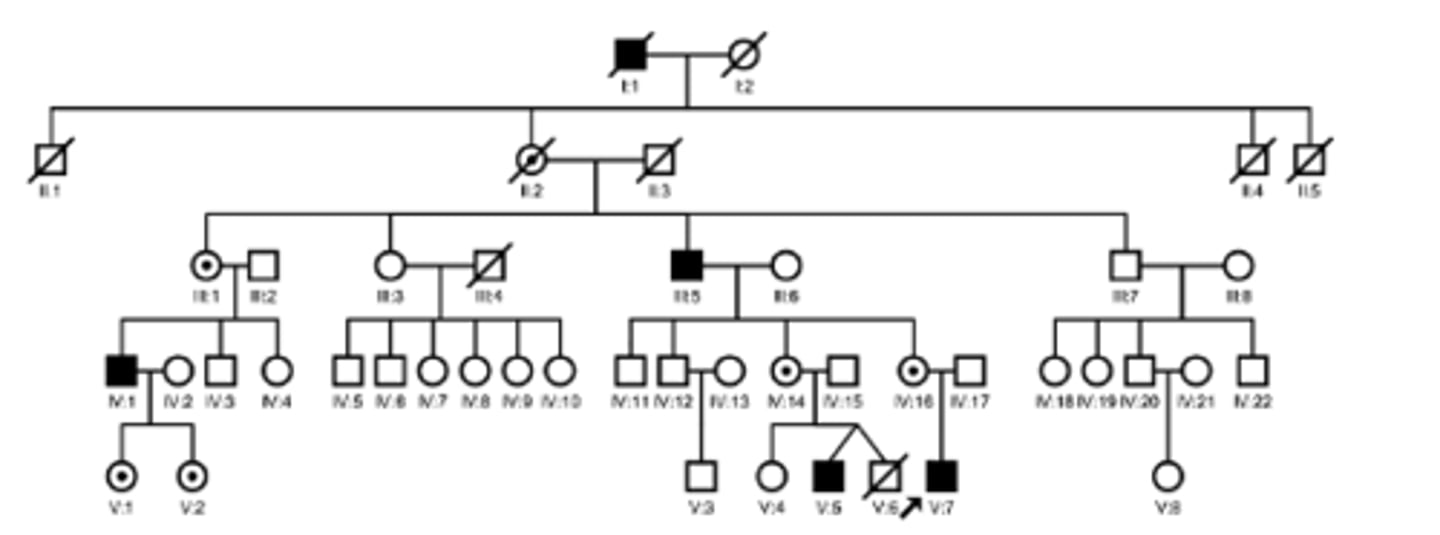 <p>Identify the pattern of inheritance:</p>