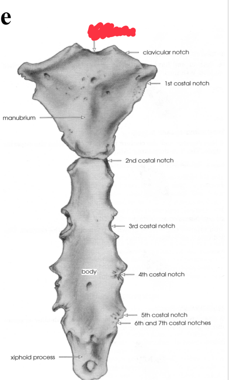 <p>What is this structure?</p>