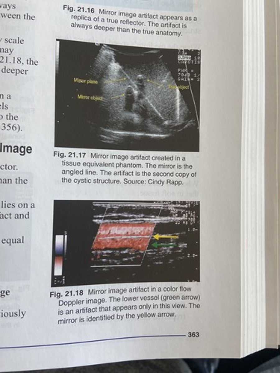 <p>/truː ˈkɒpi/ - bản sao y - We need a true copy of his licence.</p>