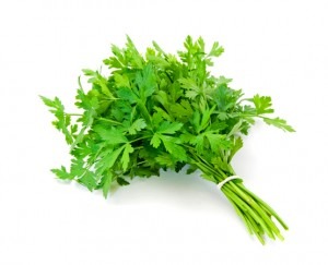 a herb with light green stems and small, green-deep green leaves. The leaves have a pattern leading up to the point of the leaf.